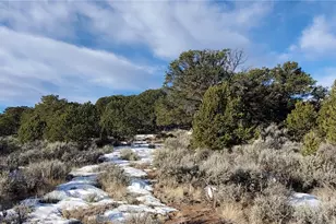 Lot 7265 Tiernan Rd, Fort Garland, CO 81133 - Photo 1