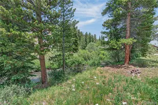 214 Mountain View Trail, Breckenridge, CO 80424 - Photo 6