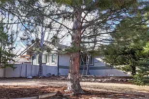 10507 Brown Fox Trail, Littleton, CO 80125 - Photo 32