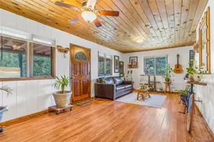 145 Bailey Dr, Bailey, CO 80421 - Photo 4