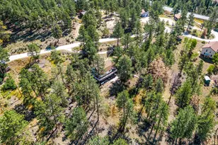 145 Bailey Dr, Bailey, CO 80421 - Photo 20