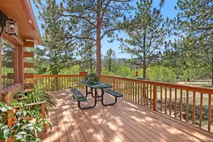 16 Mesa Ct, Bailey, CO 80421 - Photo 24