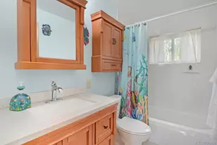 16 Mesa Ct, Bailey, CO 80421 - Photo 10