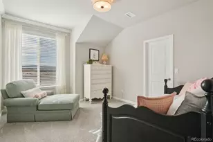 624 Simmental Loop, Castle Rock, CO 80104 - Photo 24