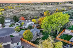 540 Snowy Owl Pl, Highlands Ranch, CO 80126 - Photo 36