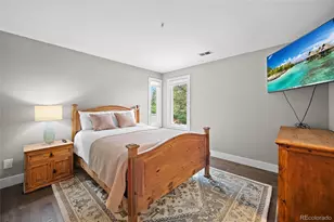 332 Ovida Pl, Castle Rock, CO 80108 - Photo 24