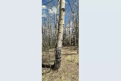 66 Rhodes Court, Fairplay, CO 80440 - Photo 8