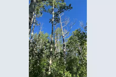 66 Rhodes Court, Fairplay, CO 80440 - Photo 4