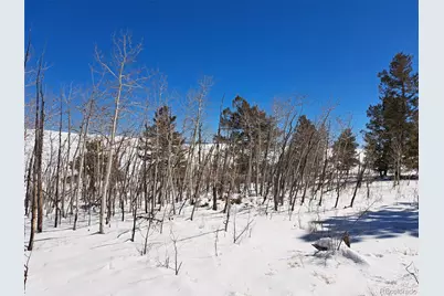 00 Redhill Road, Fairplay, CO 80440 - Photo 14