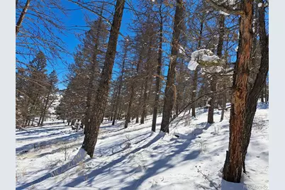 00 Redhill Road, Fairplay, CO 80440 - Photo 34