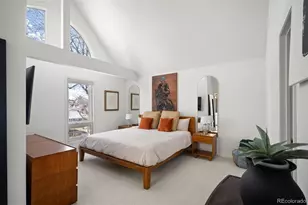 347 Harrison St, Denver, CO 80206 - Photo 8