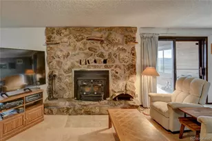 30520 Overlook Run, Buena Vista, CO 81211 - Photo 28