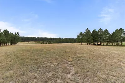 28 S White Tail Drive, Franktown, CO 80116 - Photo 10