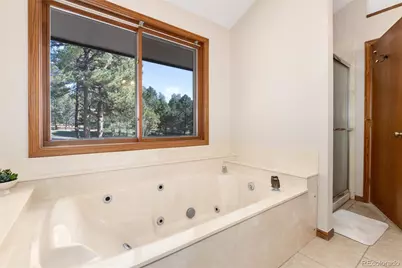 28 S White Tail Drive, Franktown, CO 80116 - Photo 30