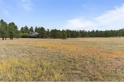 28 S White Tail Drive, Franktown, CO 80116 - Photo 44