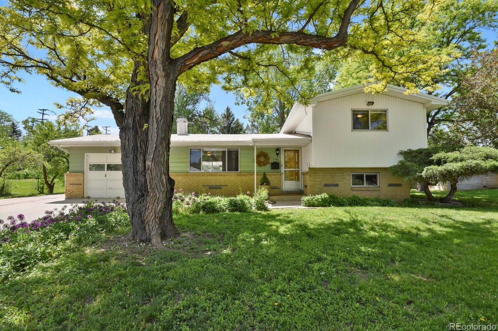 7770 59th Ave, Arvada, CO
