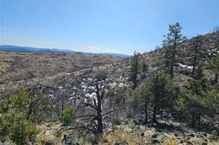 Vacant Land, Texas Creek, CO 81223 - Photo 1