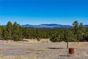 987 14th Trail, Cotopaxi, CO 81223 - Photo 42