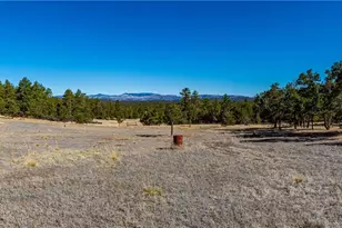 987 14th Trail, Cotopaxi, CO 81223 - Photo 50