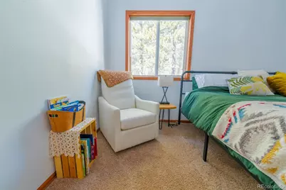 182 Rachaels Place, Alma, CO 80420 - Photo 36