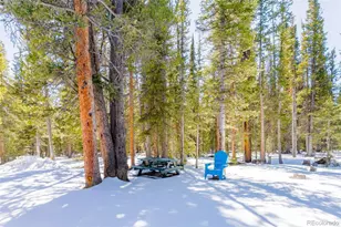 182 Rachael's Pl, Alma, CO 80420 - Photo 40