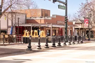 10886 Bayfield Way, Parker, CO 80138 - Photo 38