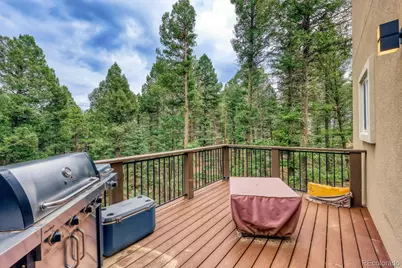 1897 N Mountain Estates Road, Florissant, CO 80816 - Photo 26