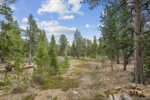 1387 Lodge Pole Dr, Black Hawk, CO 80422 - Photo 40