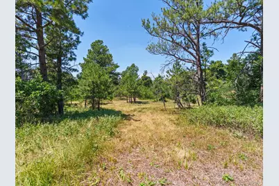 15969 Ray Drive, Larkspur, CO 80118 - Photo 10