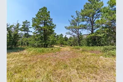 15969 Ray Drive, Larkspur, CO 80118 - Photo 8
