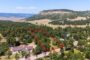 15969 Ray Dr, Larkspur, CO 80118 - Photo 1