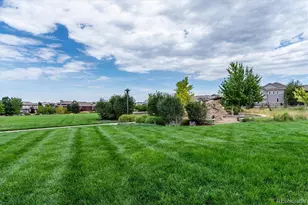10425 Maplebrook Wy, Highlands Ranch, CO 80126 - Photo 48