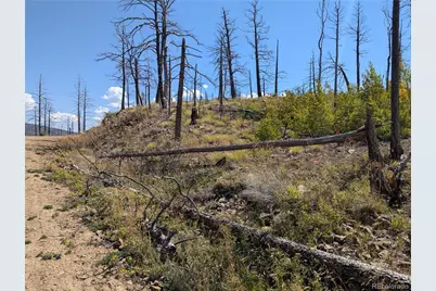 349 Macnaughton Drive, Fort Garland, CO 81133 - Photo 2