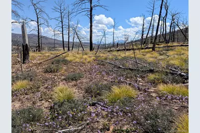 349 Macnaughton Drive, Fort Garland, CO 81133 - Photo 12