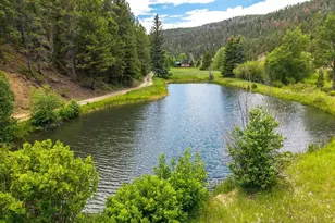 1021 Silver Lakes Rd, Poncha Springs, CO 81242 - Photo 4
