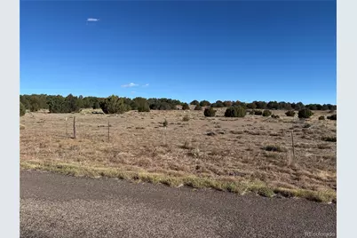 58 Acres Cr 510, Walsenburg, CO 81089 - Photo 8