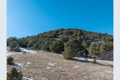 221 Chris Crossover Drive, Canon City, CO 81212 - Photo 26