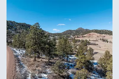 221 Chris Crossover Drive, Canon City, CO 81212 - Photo 42