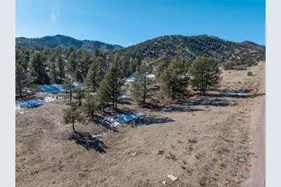 221 Chris Crossover Drive, Canon City, CO 81212 - Photo 6