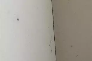 1251 Salem St, Aurora, CO 80011 - Photo 16