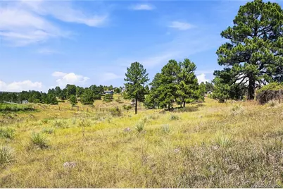 10461 Black Forest Drive, Parker, CO 80138 - Photo 4