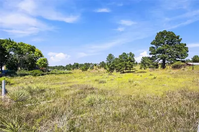 10461 Black Forest Drive, Parker, CO 80138 - Photo 2