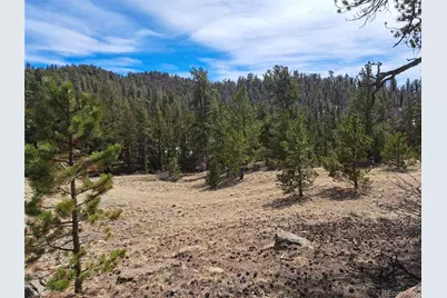 369 Summit Road, Hartsel, CO 80449 - Photo 4