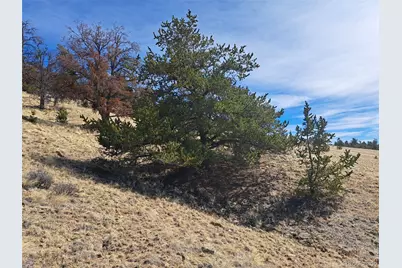 369 Summit Road, Hartsel, CO 80449 - Photo 14