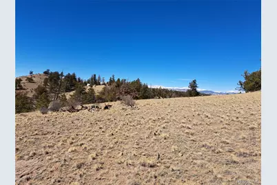 369 Summit Road, Hartsel, CO 80449 - Photo 28