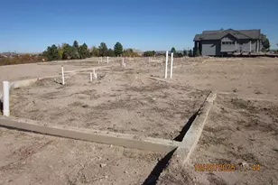 1507 White Fir Terrace, Castle Rock, CO 80108 - Photo 1