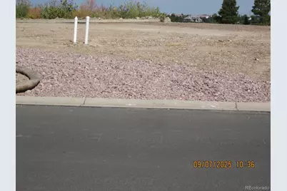 1507 White Fir Terrace, Castle Rock, CO 80108 - Photo 6