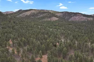 80 Crystal Ln, Lake George, CO 80827 - Photo 42