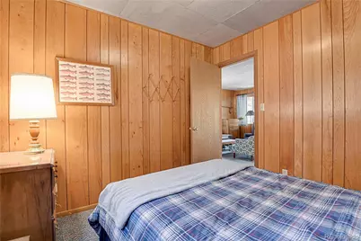 80 Crystal Lane, Lake George, CO 80827 - Photo 28