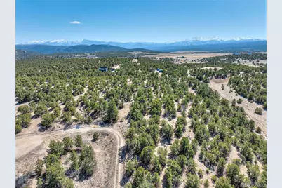 10333 Outpost Lane, Nathrop, CO 81236 - Photo 24